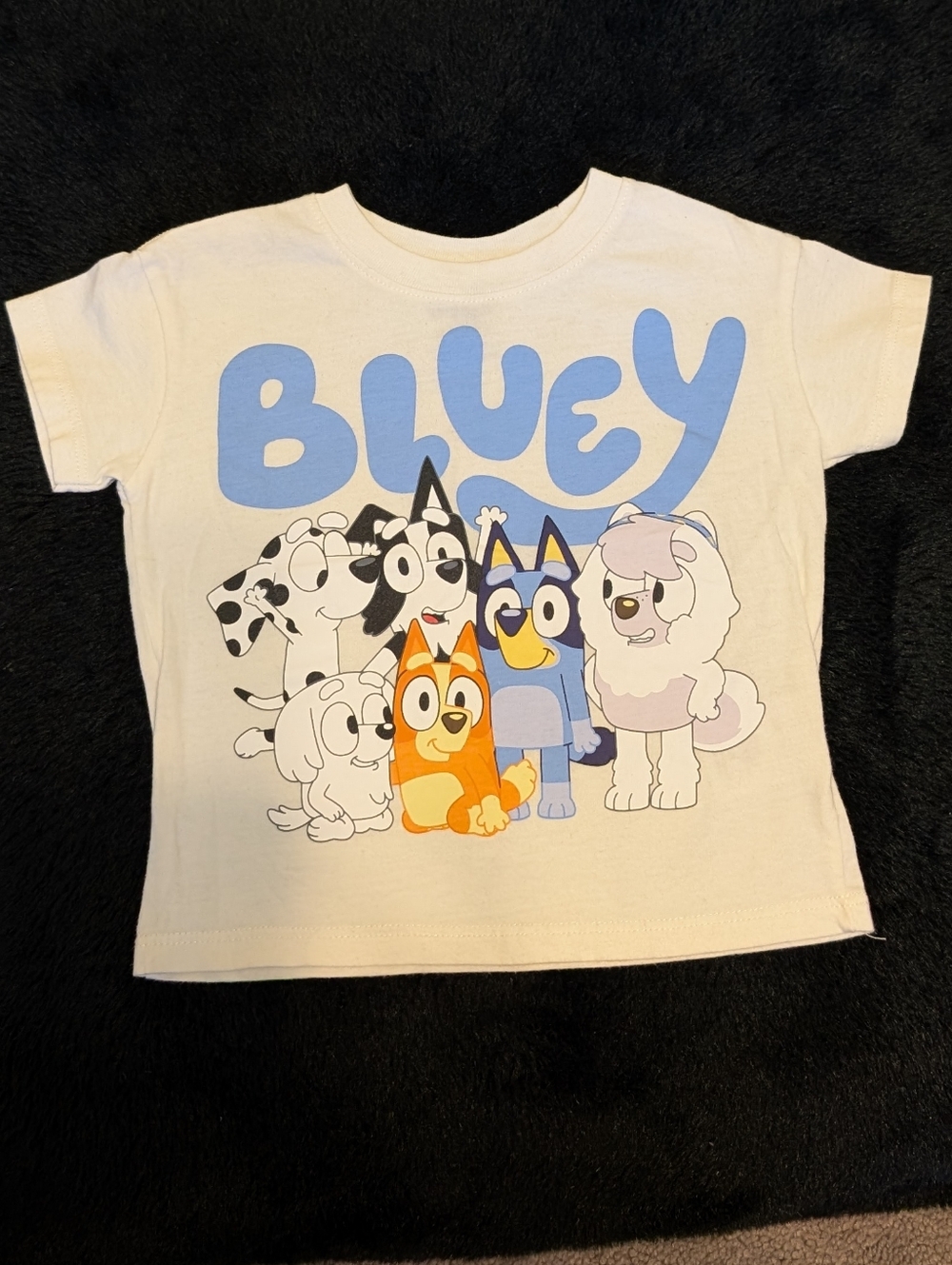 Bluey Graphic Kids Tee - 18 Months Toddler